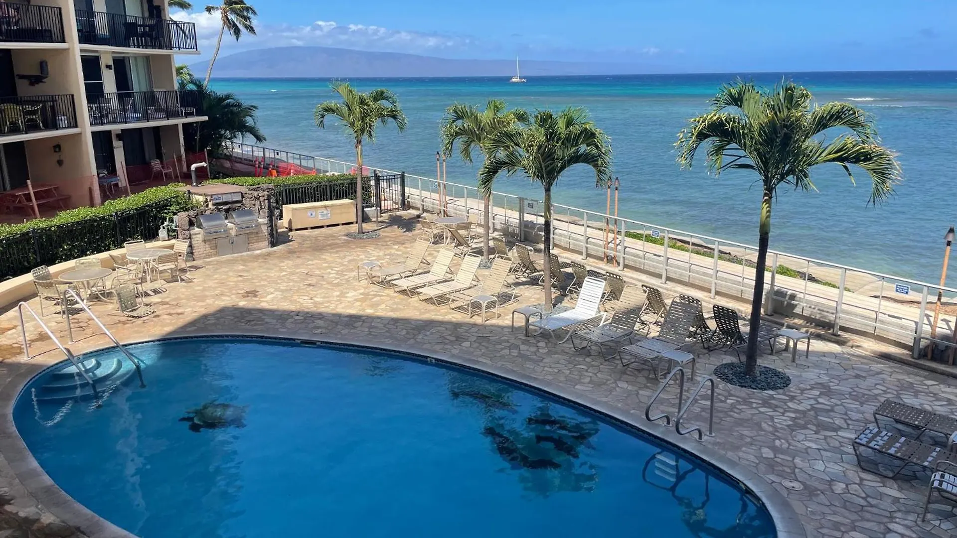 Whale Watching From The Lanai - Oceanfront Condo In West Maui Lahaina